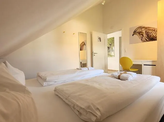 21096 Prázdninový dům